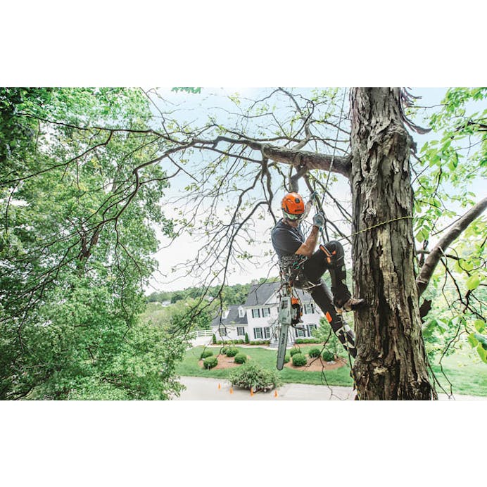 STIHL® MS 201 T C-M Chainsaw with 14 Inch Bar and Chain